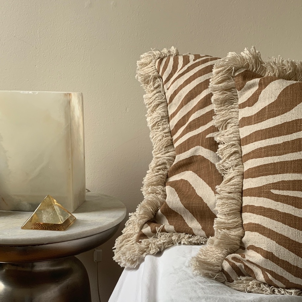 H&M Brown and Cream Zebra Print Pillows